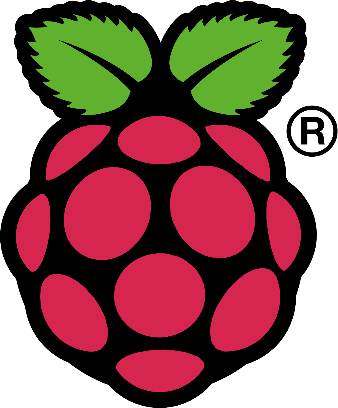 Raspbery Pi Logo