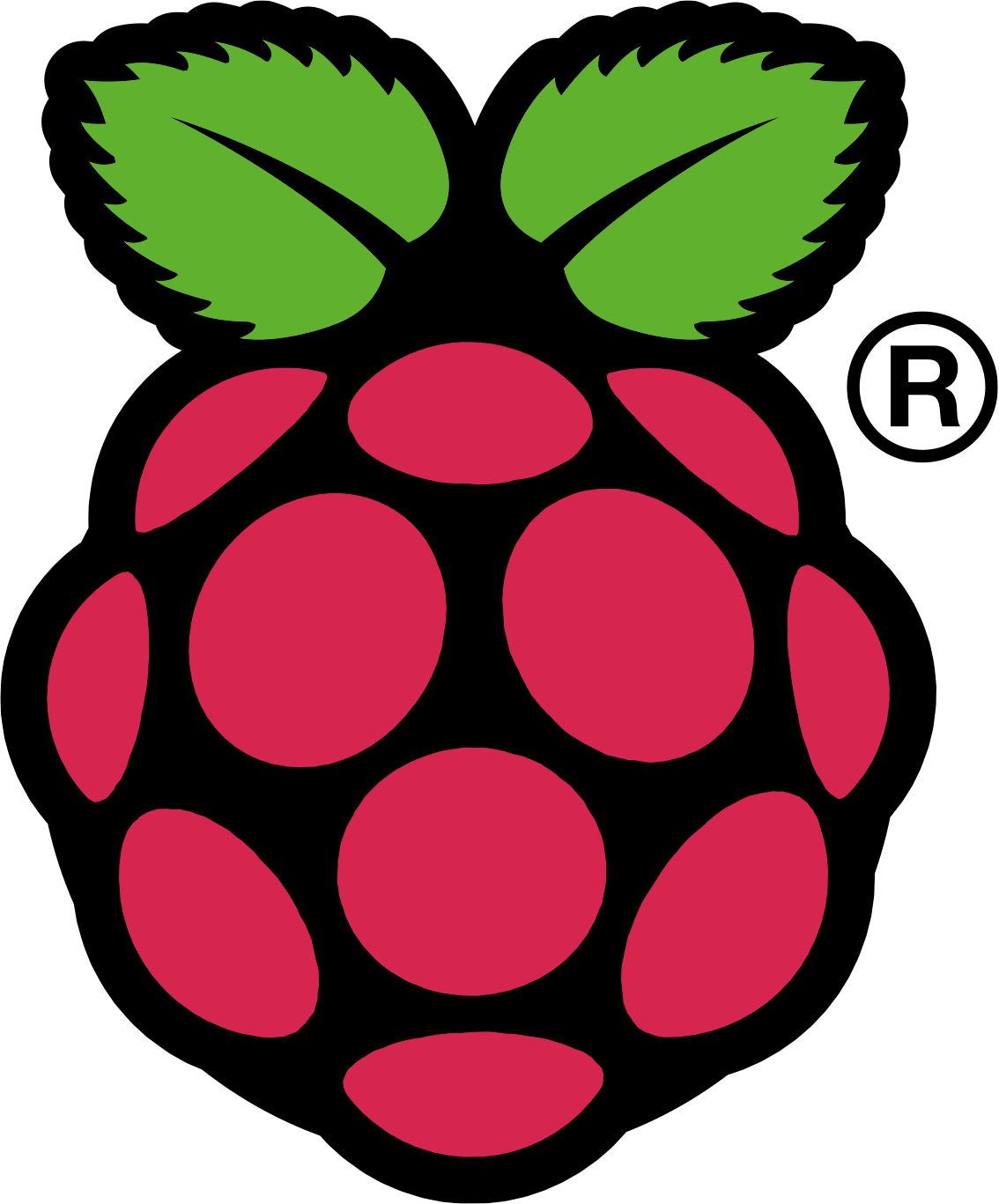 Powered by Raspberry Pi