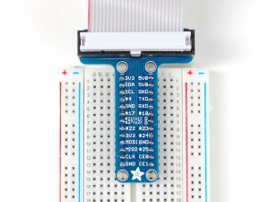 Pi-T cobbler