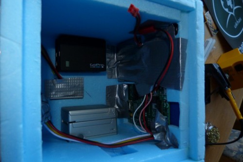 innards
