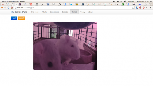 Live camera output from the box