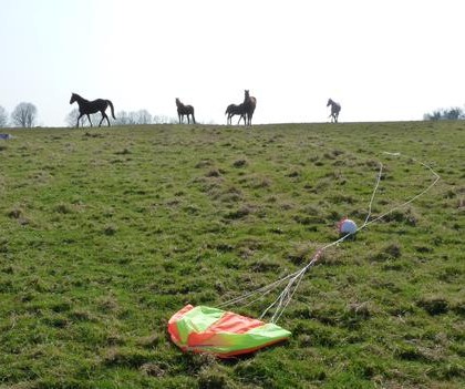 Onlookers were surprised