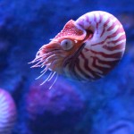 Author profile photo