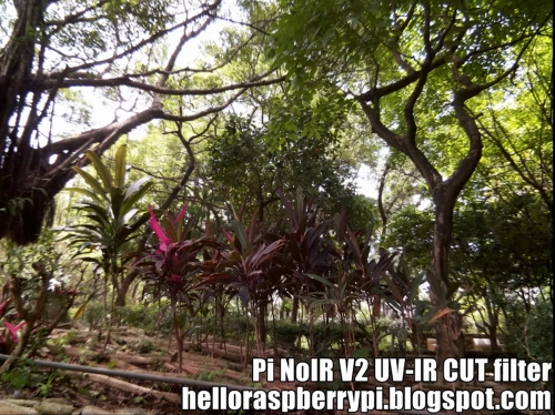 vs v2