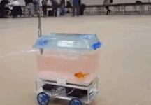 ezgif.com-ca08bb18b3.gif