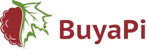 buyapi - New Raspberry Pi Zero Distributors