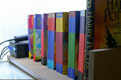 Shelfchecker smart shelf annelynn Raspberry Pi