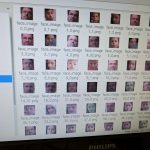 Coolest Projects 2017 face detection database