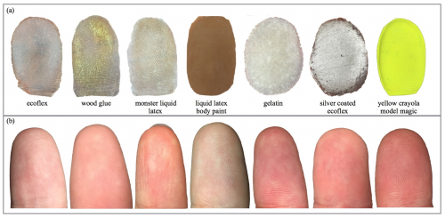 Examples of live and fake fingerprints collected by the RaspiReader team