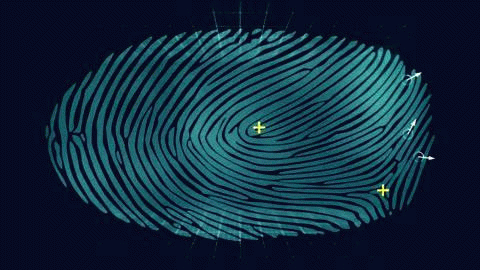 GIF of fingerprint match points being aligned on fingerprint, not real output of RaspiReader software