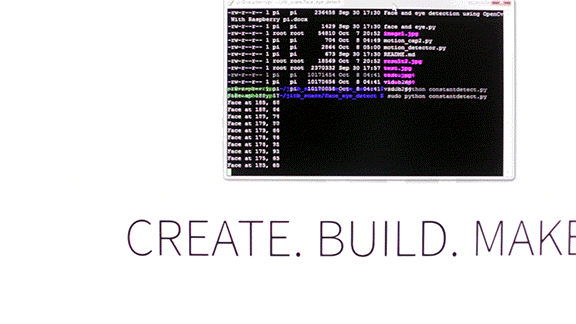 Haunted Jack in the Box View of command line output of the Python script for Sean Hodgins' Haunted Jack in the Box