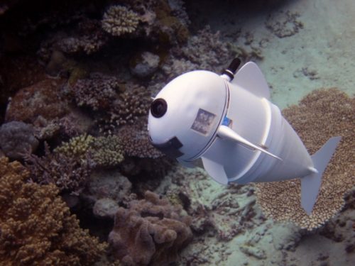 MIT CSAIL underwater fish SoFi using Raspberry Pi