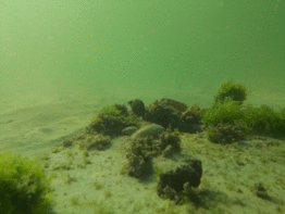 PipeCam underwater Raspberry Pi Camera