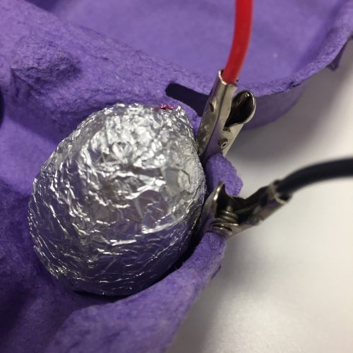 Easter Egg Hunt using Raspberry Pi