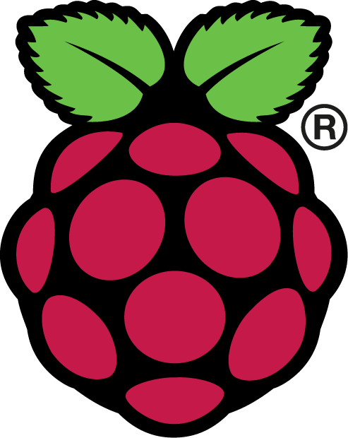 Risultati immagini per raspberry logo