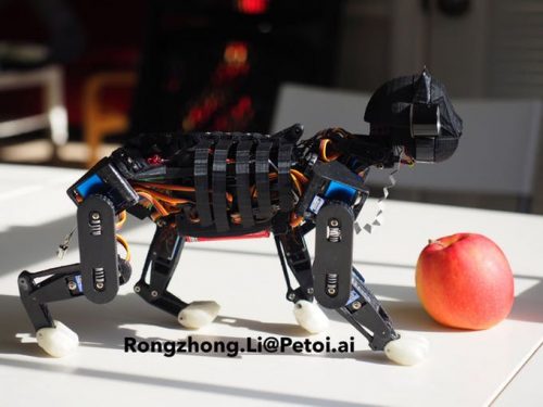 Petoi Raspberry Pi Robot Cat