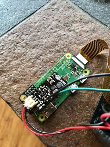 raspberry pi animal camera