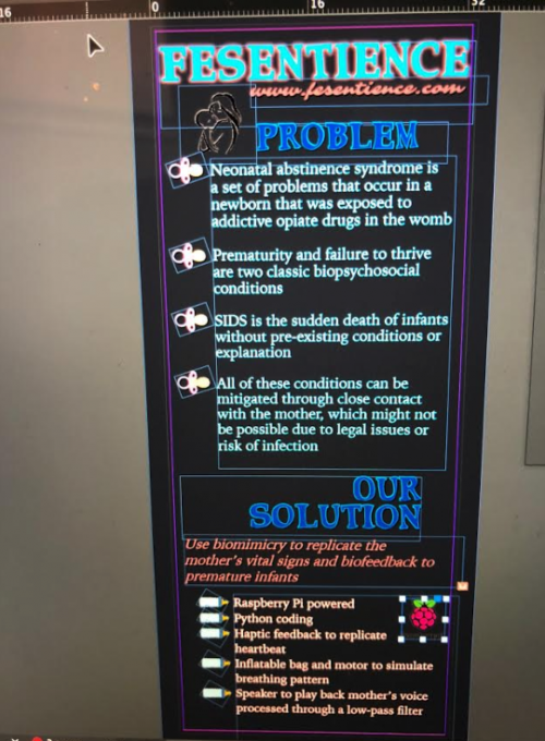 Fesentience Raspberry Pi Neonatal Abstinence Syndrome infant incubator