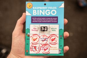 Raspberry Pi event Raspberry Fields 2018