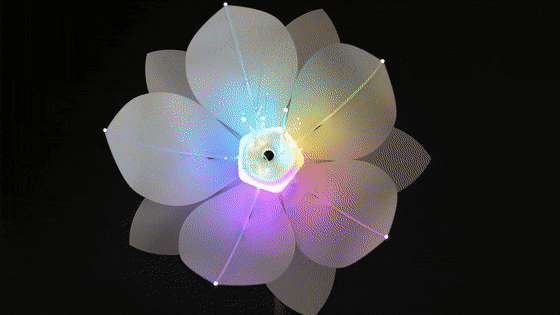 Android Things flower Raspberry Pi Smile recognition Expression Flower