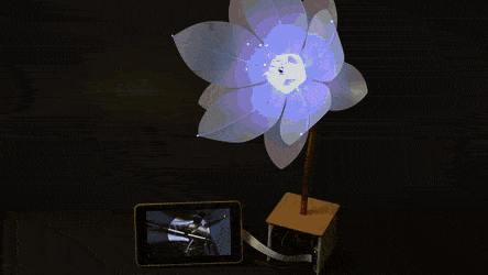 PlayfulSimplisticChuckwalla-size_restricted.gif