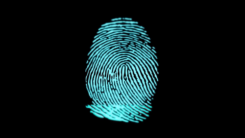 A GIF of a thumbprint being scanned for authentication - three-factor authentication