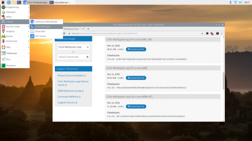 De nieuw geïnstalleerde Citrix Workspace-client