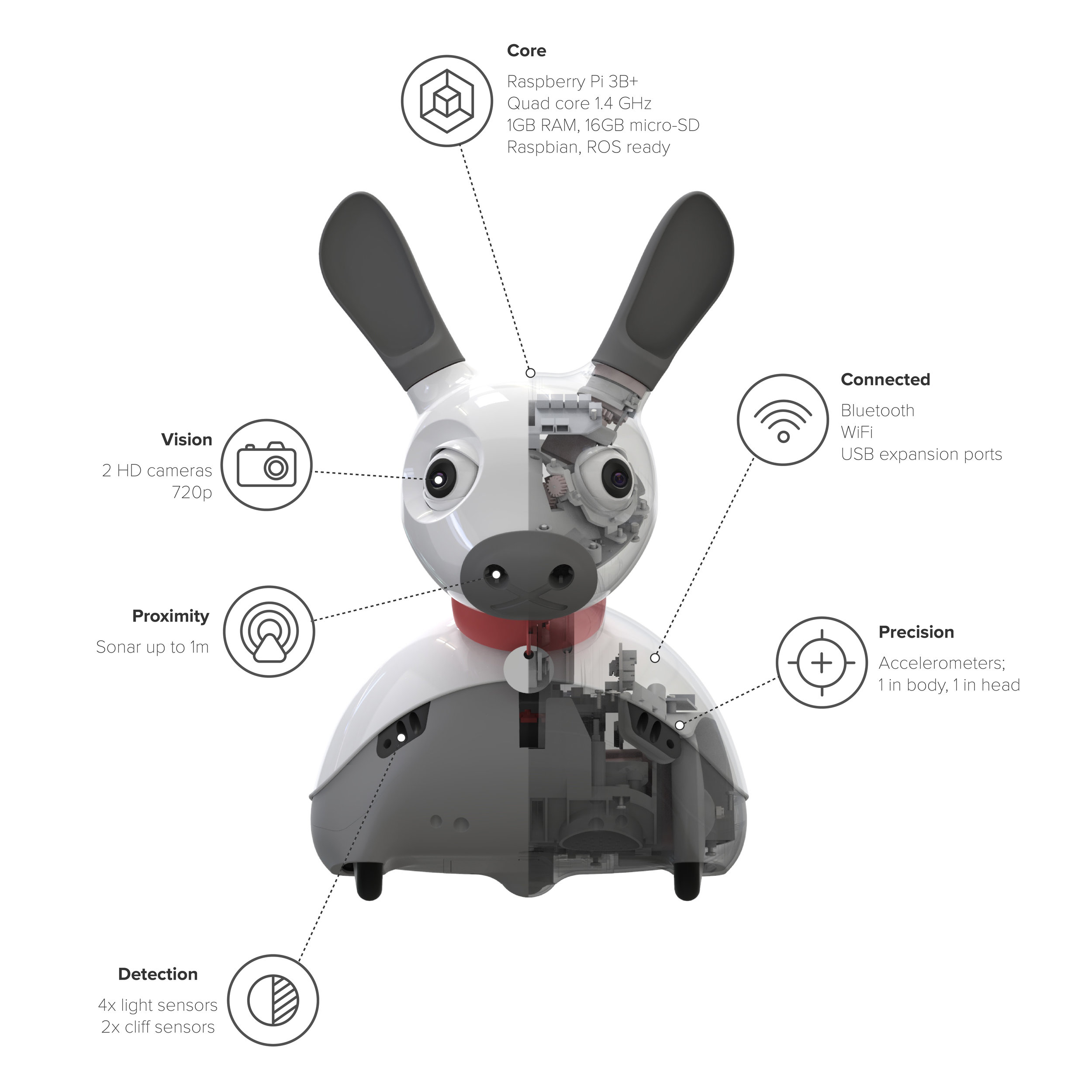 raspberry pi robot dog