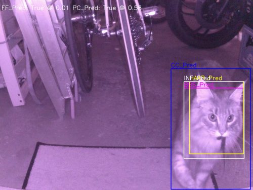 A nightvision image of a cat approaching a cat flap with a mouse in its mouth