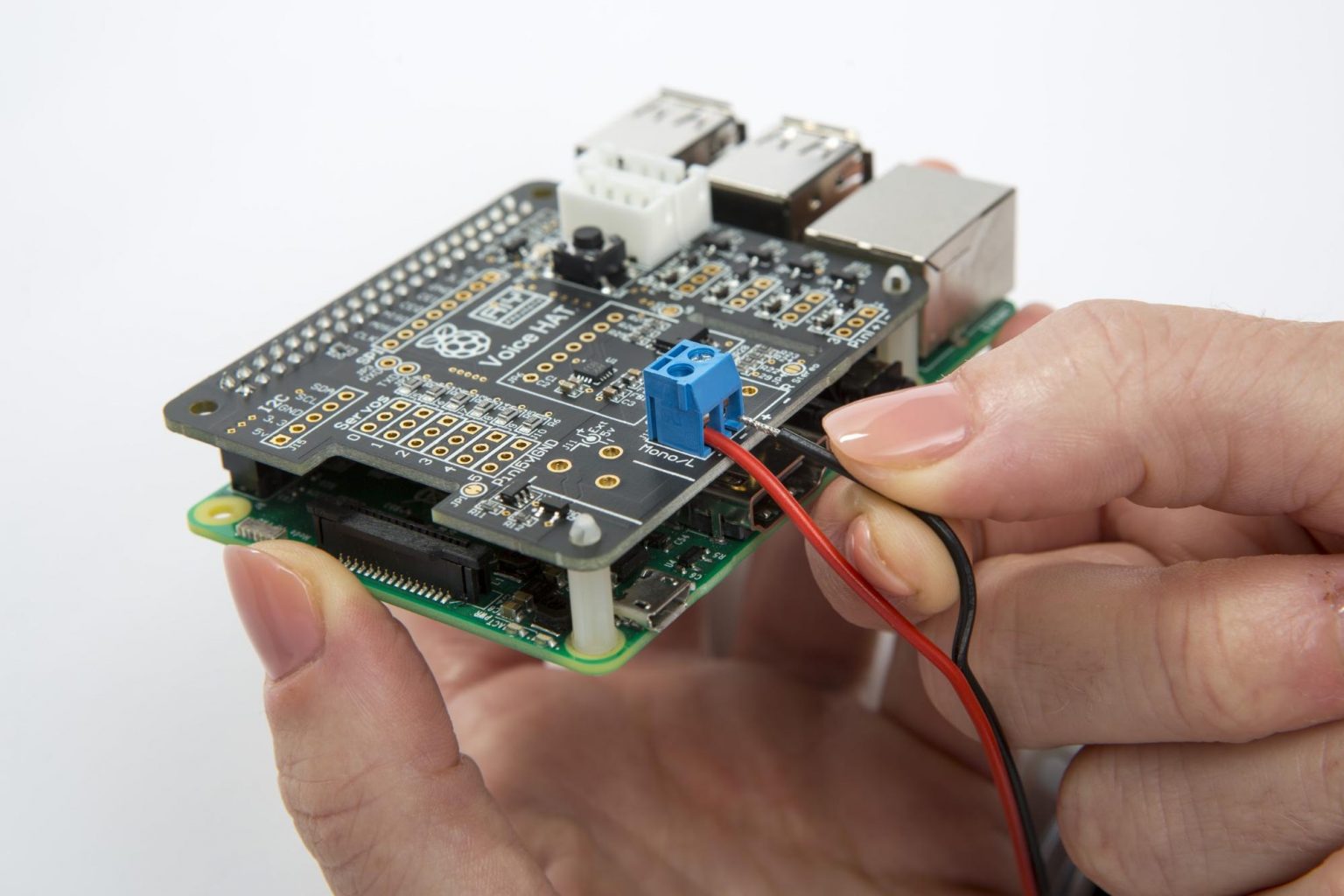 Raspberry Pi Swear Bear Keeps Your Potty Mouth In Check Raspberry Pi