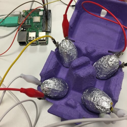 eggs in foil with jumper wires attached