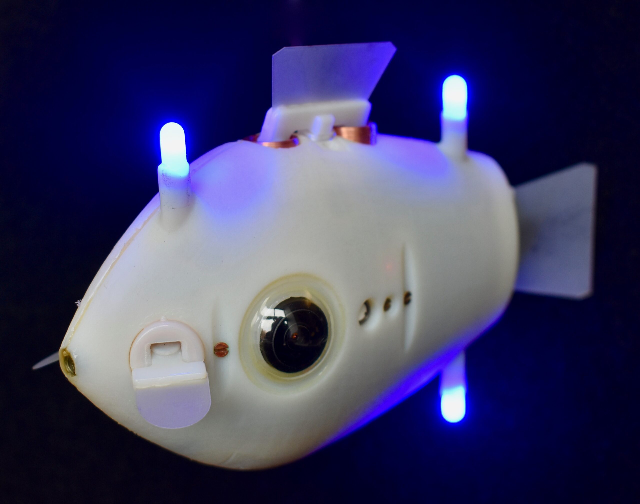 It may look cute, but Bluebot has a serious purpose