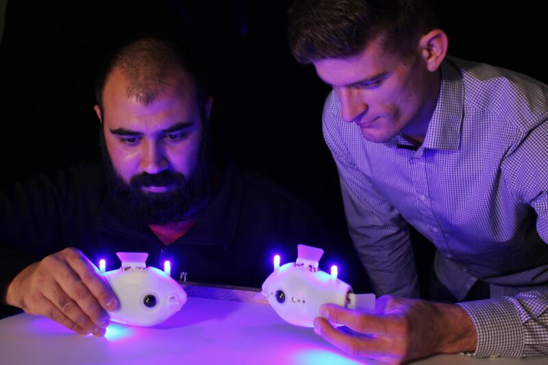 Linked cameras attached to Raspberry Pi Zero W monitor what surrounding fish are doing. The Bluebot robot then mimics their behaviour, such as moving its fins
