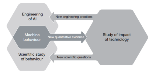 Machine behaviour as a field sits at the intersection of AI engineering and behavioural science. Quantitative evidence from machine behaviour studies feeds into the study of the impact of technology, which in turn feeds questions and practices into engineering and behavioural science.