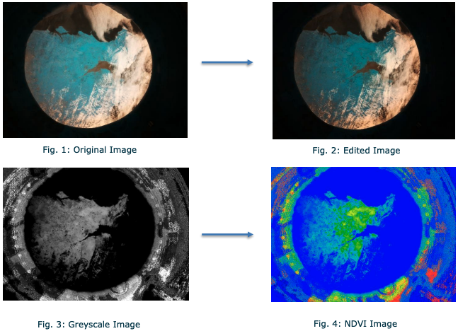 NDVI processing by team DoDuo.