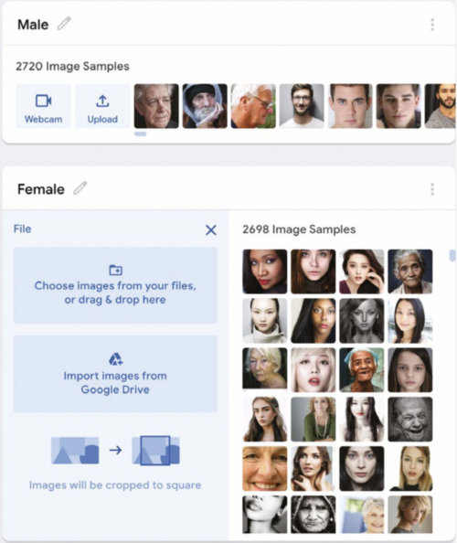 Screenshot from Teachable Machine showing two datasets of photos of faces labeled either male or female.