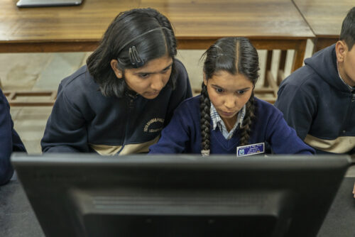 A learner and educator at a desktop computer.