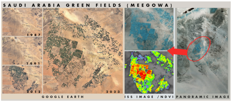 Images taken from space of plant cover in Saudi Arabia.
