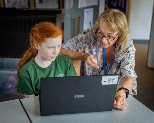 A learner and educator at a laptop.