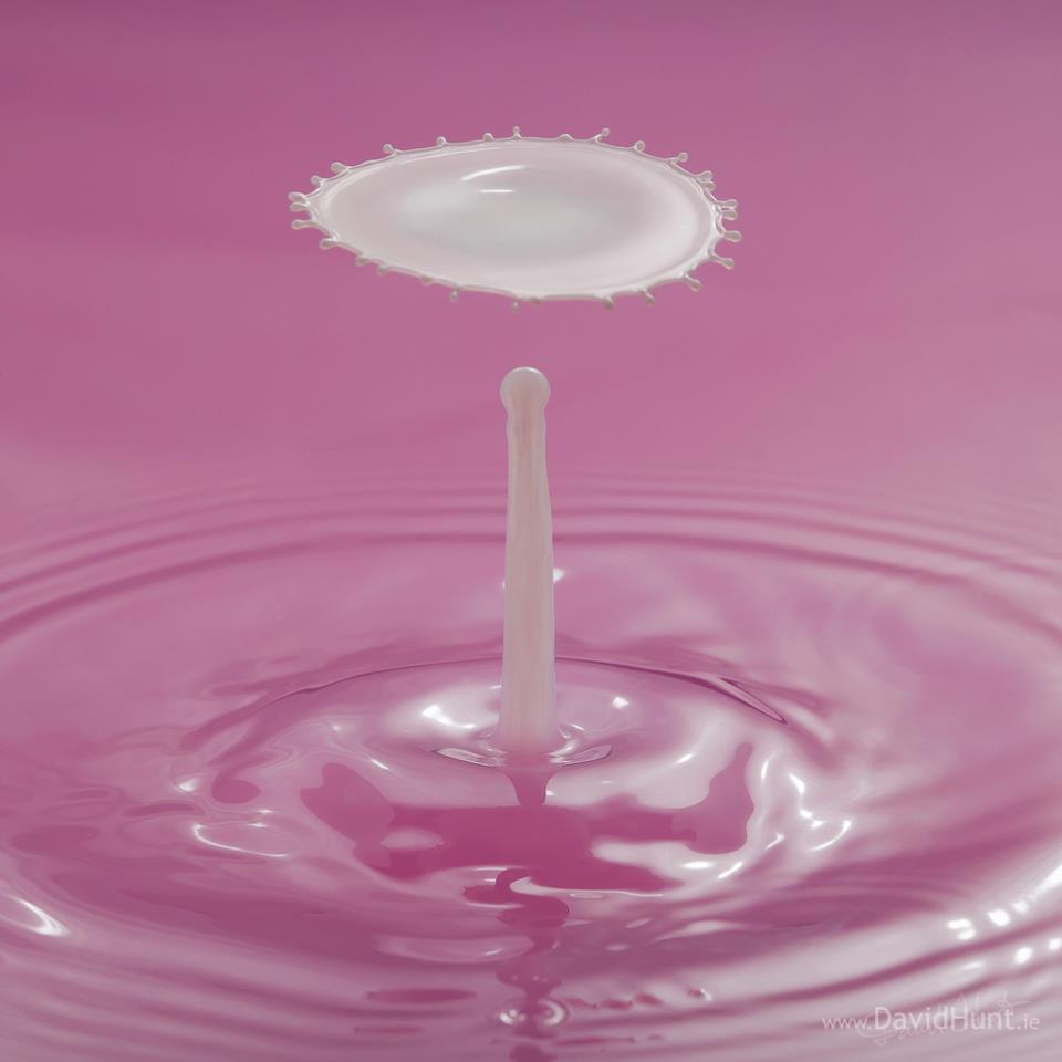 water droplet photography