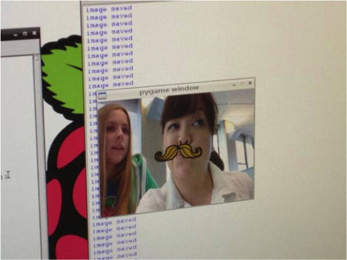 Lizstache