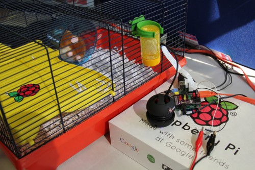 hamstercam1