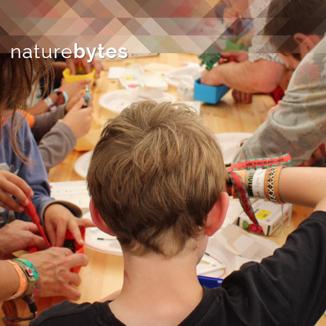 Assembling camera traps at Camp Bestival