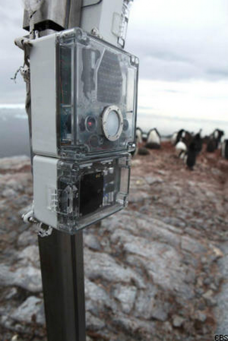 Credit: Alasdair Davies, ZSL