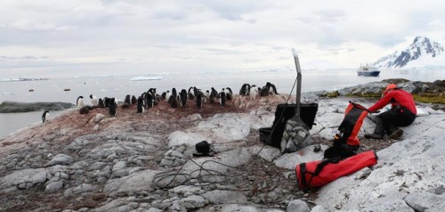 Setting up. Credit: Alasdair Davies, ZSL