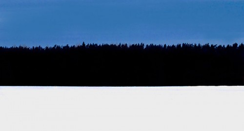 800px-Estonian_flag_winter_forest
